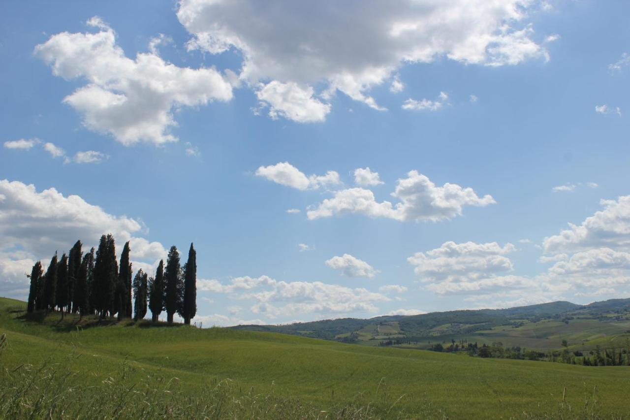 La Casina Di Nonna Lola Villa Castiglione d'Orcia Ngoại thất bức ảnh